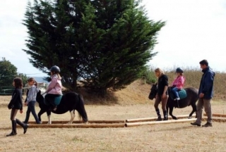 奥林马术中心和迷你骑手 